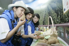 [생태기행]천혜의 생태계곡 왕피천