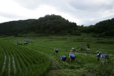 [생태기행]천혜의 생태계곡 왕피천