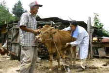 삼성에버랜드 수해지역 동물 수호천사 떴다