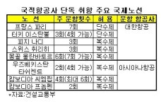 주6회 이상 노선 복수취항 허용