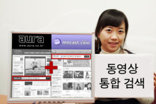 다모임, 아우라-엠엔캐스트 동영상 통합검색