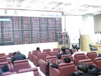 사상최고치 랠리에 개미군단 기웃기웃