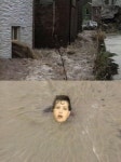 부릉부릉, 석유 태울수록 들끊는 시민여론
