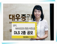 대우證, 최고 7% 수익 DLS 공모