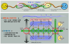 관악구, 고시촌+대학, 교육문화 특화거리 조성