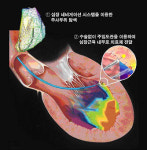 바이로메드, 다국적 제약 계열사와 임상준비