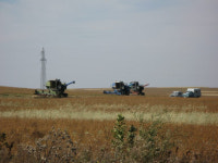 석달만에 19톤 판매 청국장의 기적