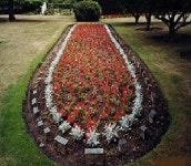 화초장·잔디장·수목장..5월말 본격 등장