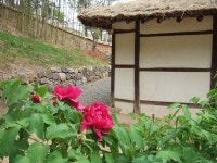 영랑생가, 모란꽃에 취하고, 문학 향기에도 취해보자!