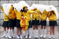 [사진]봄비와 동심(童心)