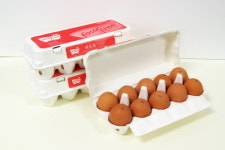 [히트상품]포프리 팜, 포프리계란