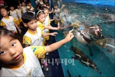 [사진]펭귄들의 상상놀이터