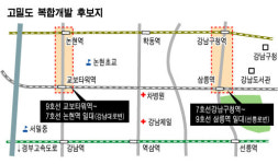 강남대로·선릉로 맨해튼처럼