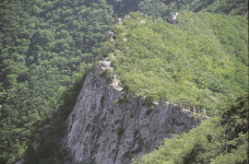 닭볏 쓴 용을 타고 갑사 가는 길...