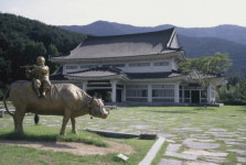 꽃이 되고 바람이 되어 풍류를 엿보다