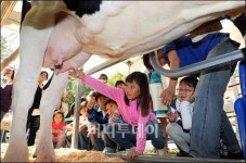 [사진]야 신기하다 도심 속 목장체험