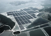 동양건설산업, 국내 최대 태양광발전소 완공