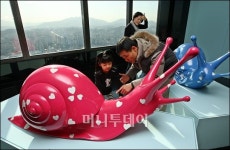 [사진]하늘높이 올라온 달팽이