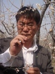 매화로 32억 매출 마을 전체가 활짝 피다