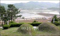 [사진]盧 전 대통령 선영 앞 지나는 조문객들