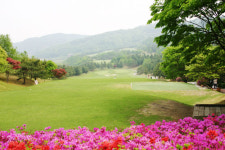 골프장, 특화된 상품 서비스로 고객 유혹