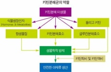 1억 부농의 꿈..친환경 무농약으로도 거뜬