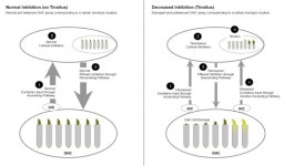 이명, 주파수 별 맞춤형 치료로 해결