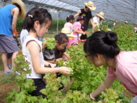 안성, 유별난 마을에서 여름체험하세요