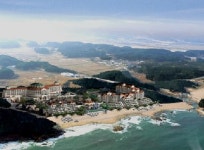 대명리조트 최종 특별분양