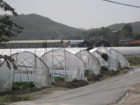구리 갈매지구 보상금이 문제죠