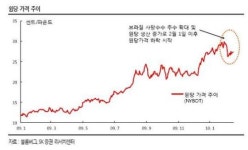 오렌지·원당가격 폭등..관련업체 원가부담 속앓이