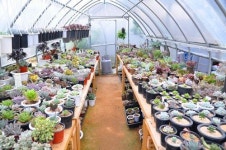 나만의 포장법으로 고객 만족도 100%