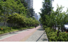 서울시, 가로수 사이 띠녹지 확대 조성
