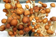 원금보장도 되고 수익률도 좋은 재테크상품이 출시