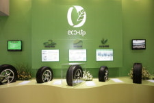 금호타이어, 잣나무 50만 그루 심었다?