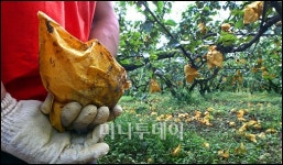 [사진]태풍이 또 온다고...
