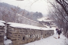 雪花 천상의 결정체 지상에 꽃피다