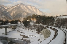 雪花 천상의 결정체 지상에 꽃피다
