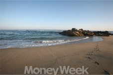 태양을 가슴에 품고 새 희망을 얘기하자