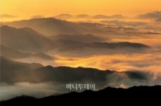 태백은 지금…은빛의 시크릿가든