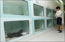 [사진]최고급 강아지 호텔 오픈