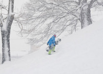 경주 왕릉서.. 무개념 보드남 눈총