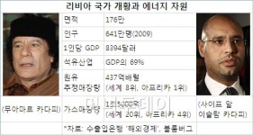 풍전등화 카다피, 국제 석유시장 혹시…