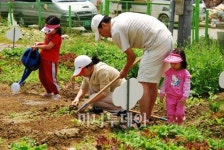 [시티줌] 봄이다!..도시농장 인기