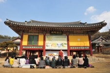 여주, 구제역 희생가축 합동위령제