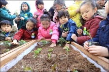 [사진]폐자재가 텃밭으로 변했네!