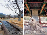 영암벌에 우뚝 솟은 돌불꽃