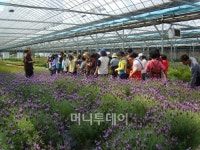 [시티줌] 도심에서허브재배법 배우다