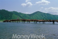 저 섶다리 건너면 술 익는 마을 있을까