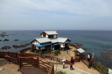 삼림·온천·해수 3욕(浴) 시름 씻고 가네